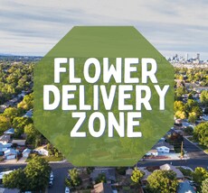 Delivery Area
